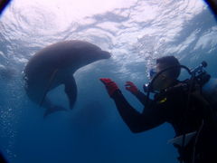 悢̃_CrOT[rXEՂ܂ǂւ̓eʐ^1