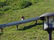 񂳂̃OfBE21i{錧^j̓eʐ^1