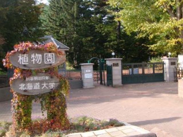 �k�C����w�A����_�k�C����w�A����