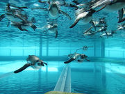 akahige55̋\㓇AX̓eʐ^2