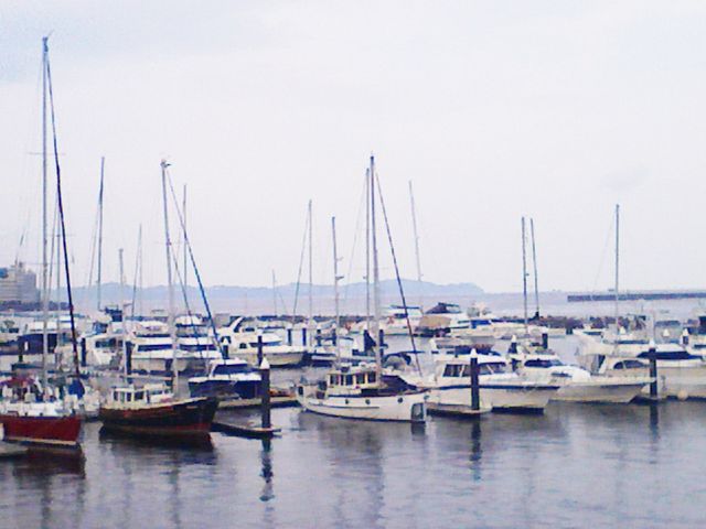 gV[̃XpE}[iMC̓eʐ^1