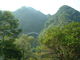 花ちゃんさんのグリーンパル日向神峡キャンプ場の投稿写真3