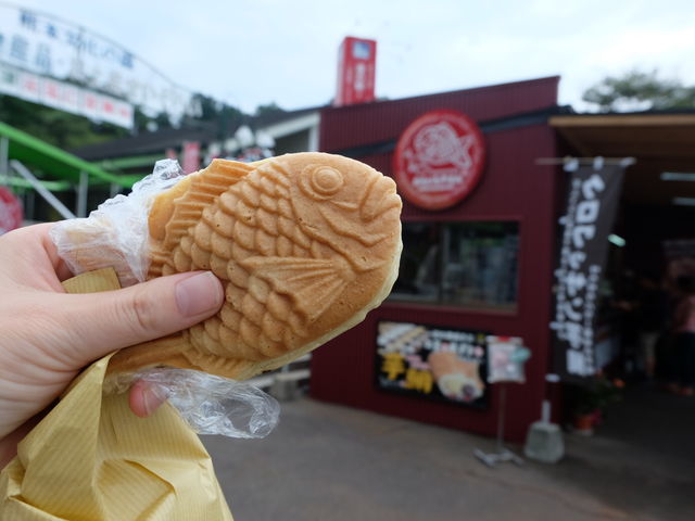 keikeiakaka̓̉w Â̓eʐ^1