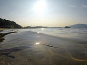 ₩̂܂Ȃ݃r[`̓eʐ^1