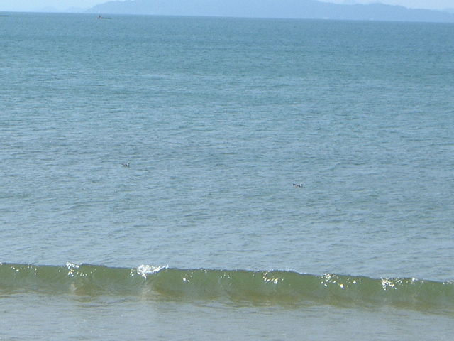 Ԃ񂳂̒ÉC݂̓eʐ^2