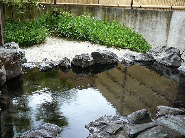 �w�|�̓��x�̘I�V���C_�A�؉���