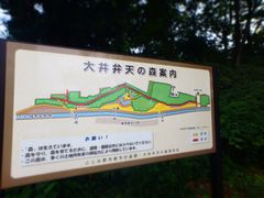 ���ٓV�̐X�̎ʐ^1