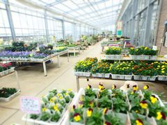 �����_�Y���������p���W�[�n�E�X�̎ʐ^1