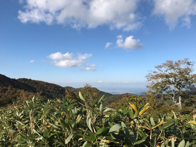 cOȂA₦ޓȂ炩N̂悤ȑN₩ȐF͌܂łB_ȃXJCo[