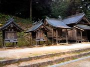 kingtut����̐_���_�Ж{�a�̓��e�ʐ^4