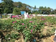 ڗ̌PuVՒnEcΒño̓eʐ^1