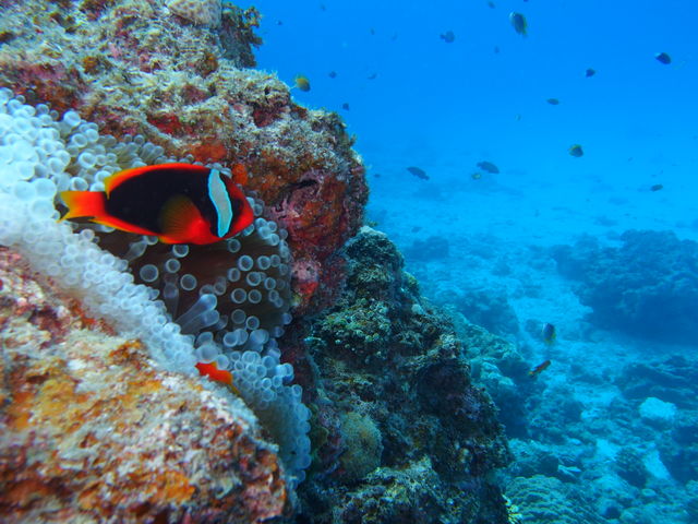 �n�}�N�}�m�~_�p���_�C�X��y��