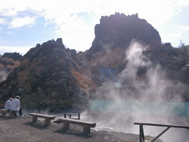 �����̑���_�{�쉷��