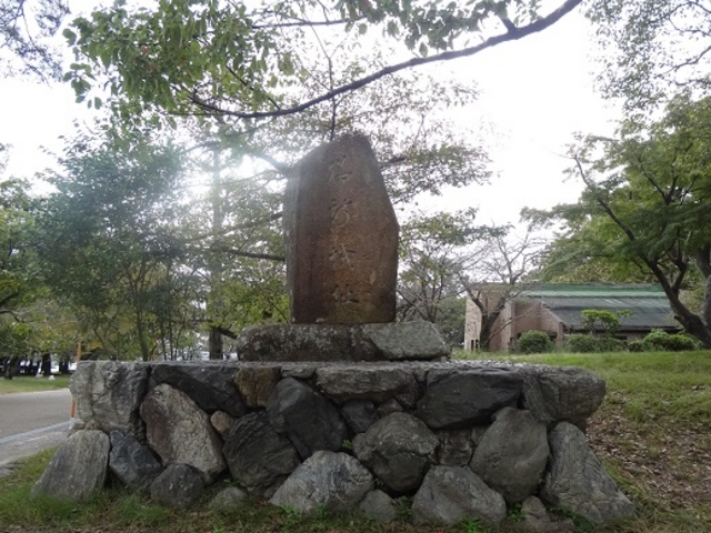 �V�����_�V�����
