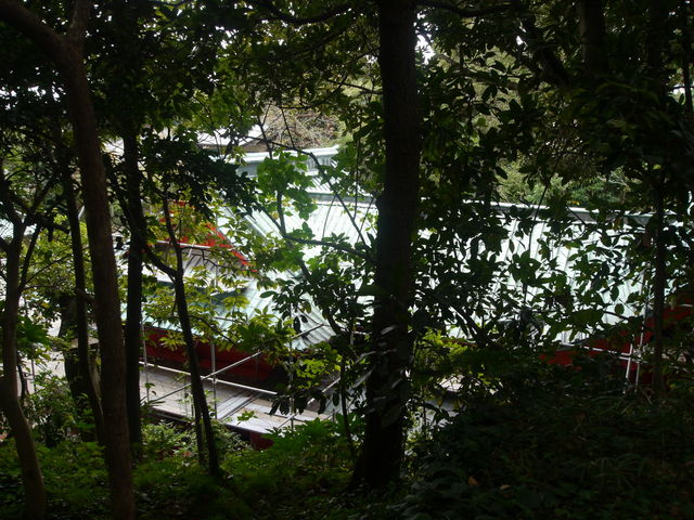 ���䗅�{���牡������Ɩ{�a�̉�����������_�C��_��