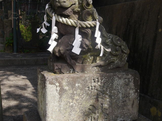 ����_�C��_��