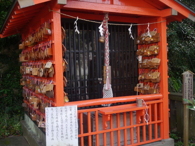 ��n��_�C��_��