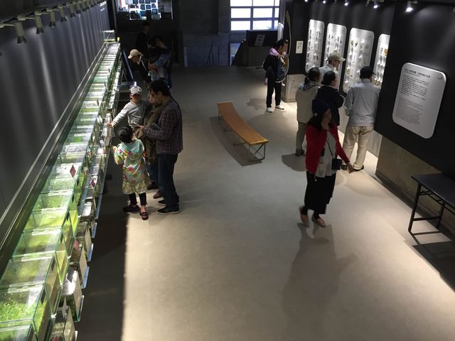 �����Ȑ������������̓W���B_�A�N�A�}�������Ȃ킵��J���Z�~������