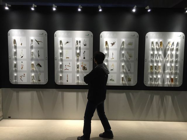 �l�X�ȓ~���đ��B�s�C���Ȕ������B_�A�N�A�}�������Ȃ킵��J���Z�~������