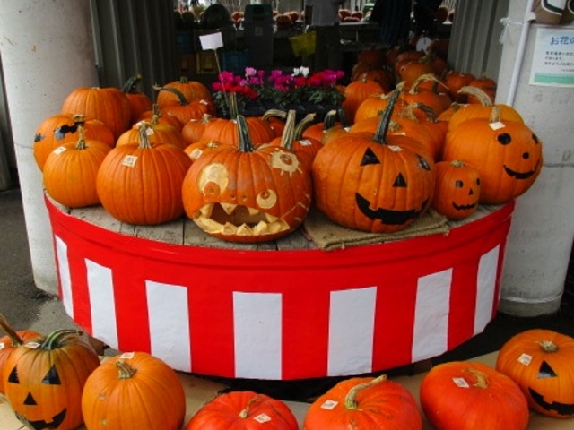 ��R��O����̔����x�����_�Ǝ��H��w�Z�@�������̓��e�ʐ^1