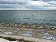 tommy����̑���̕l�C������̓��e�ʐ^1