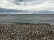 tommy����̌ܐF�����T���r�[�`�̓��e�ʐ^1