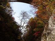 mayu����̖q�����R�����̓��e�ʐ^1