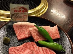 �˂˂�������̂ւ̓��e�ʐ^2