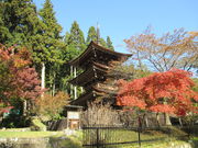 Tom̐VCOА_Ё@@̓eʐ^1