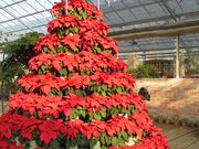 kyoukõn[u뉀L̓eʐ^2