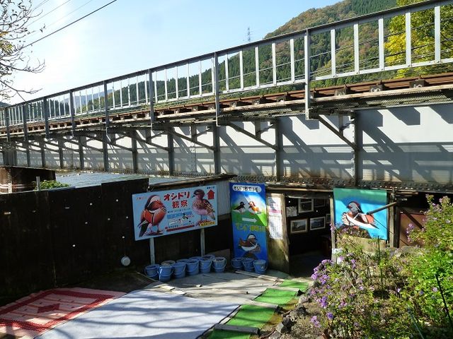 �����ǂ�01_�����