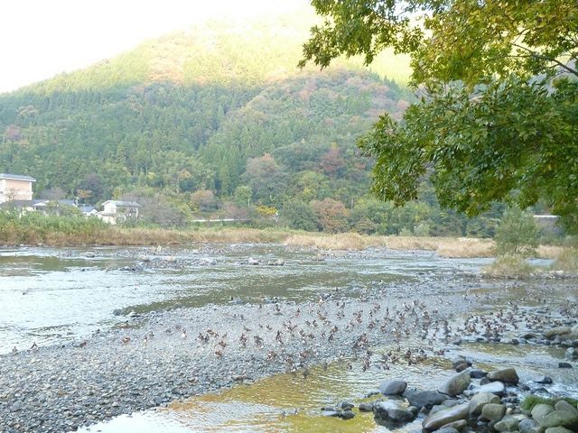 �����ǂ�02_�����