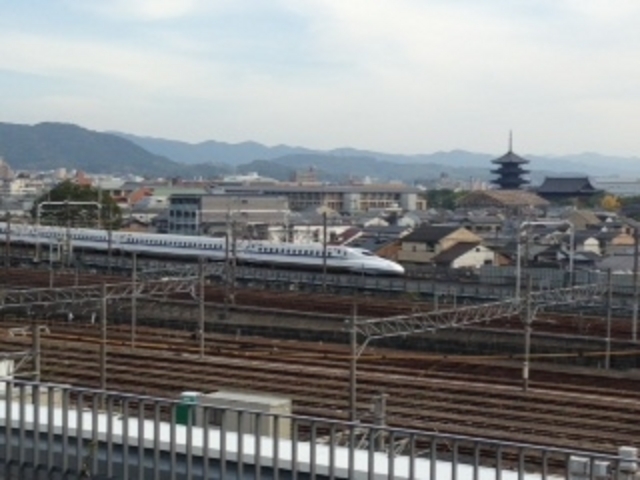 �R�K�̃f�b�L���炱�̂悤�ȕ��i������܂���(^^)/_���s�S��������