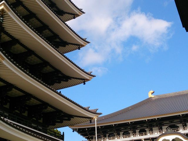 p̗p̒yiAnŁj̓eʐ^1