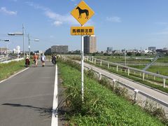 競走馬も横断します_多摩川の散歩道