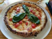 mon-t̑̃sUJp[j̓eʐ^1