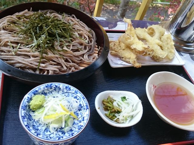 V邻
VՂTNTNA΂͂̂ǉzǂB΂D݁B_ ꌩ