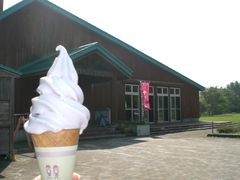 ܂̖싍샌XgnEXւ̓eʐ^1