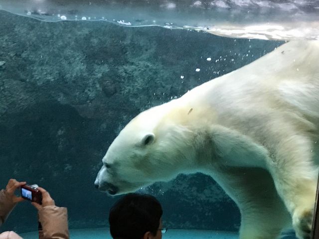 �^�߂ŁI_���R������