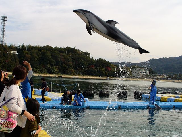 �߂�(=߃��)�_���{�h���t�B���Z���^�[