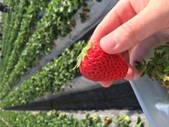 Ȃׂ̒Ëvlό_ւ̓eʐ^1