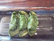 Jl}̖ˁfs .ς̓eʐ^3