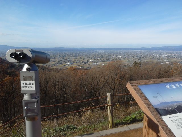 �v�g����̎U���i��