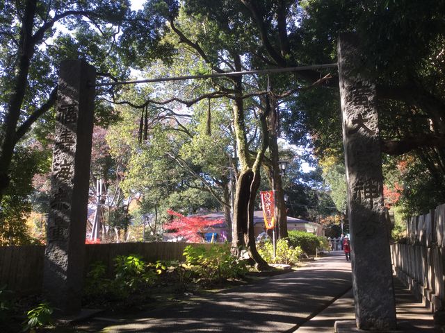 Sakamoto119̒_Ђ̓eʐ^12