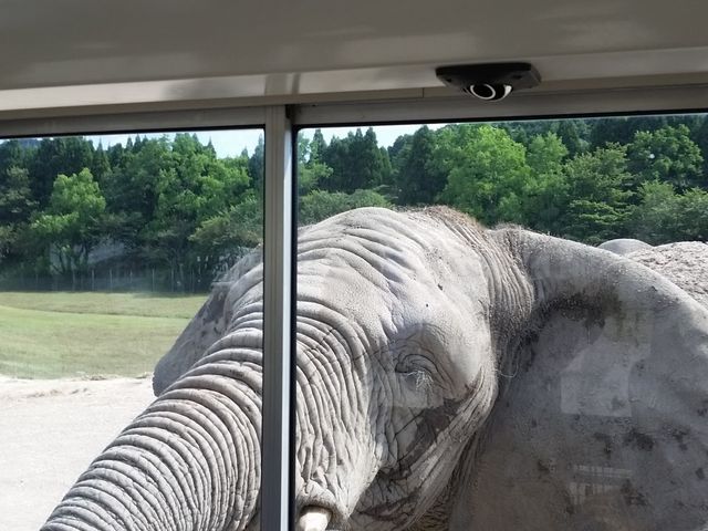 ��������_�H�g�䎩�R���������T�t�@�������h