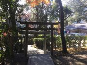 Sakamoto119̒_Ђ̓eʐ^10