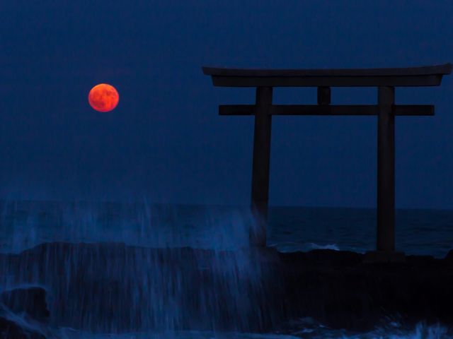 �_��ƃX�[�p�[�u���b�h���[��
�������t�߂ł͌����Ԃ��Ȃ�u���̌��v�Ƃ������邻���ł��B_���C��