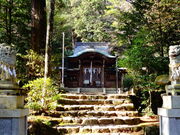 ���ǁ[����̏����_�Ђ̓��e�ʐ^2