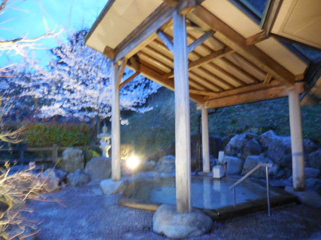 �I�V���C_�ёы�����@�⍑���ۊό��z�e��