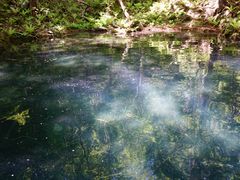 ܂̃Oh@RIB Tripւ̓eʐ^1